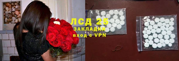трава Елизово