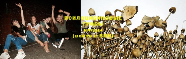 трава Елизово