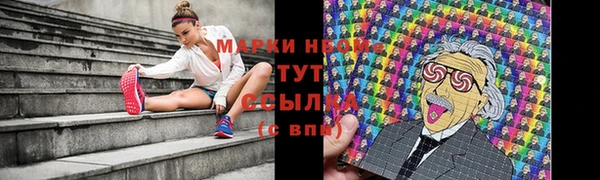 трава Елизово