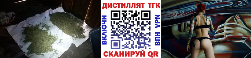 Купить закладки  Советск  ТГК концентрат 