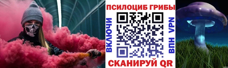 Псилоцибиновые грибы Cubensis  Купить где  Советск 